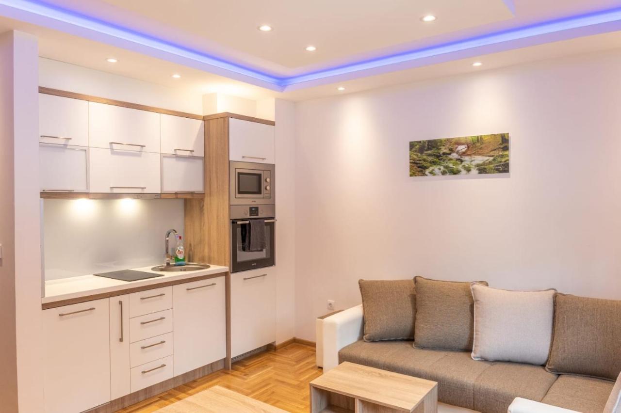 Apartments Mikic Ζλάτιμπορ Εξωτερικό φωτογραφία